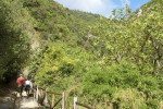 Wanderung zum Wasserfall Wanderung zum Wasserfall